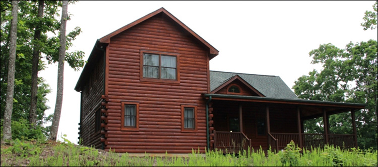 Professional Log Home Borate Application  Franklin City, Virginia